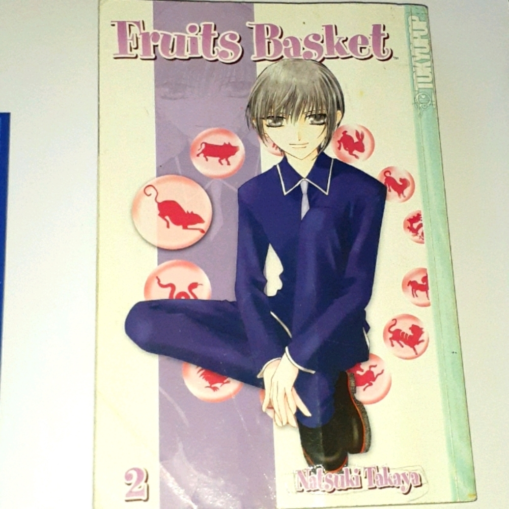 Manga Fruits Basket Book